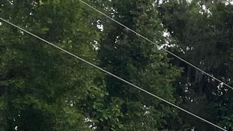 Autobús con trabajadores migrantes chocó en Florida: 8 muertos y 40 heridos, entre ellos mexicanos