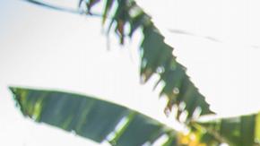 Se calcula que hay 18 de 32 entidades proclives al reclutamiento de niñez para fines delictivos.