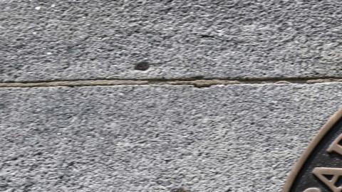 AMLO niega haber endurecido las medidas migratorias por presiones de EE.UU.