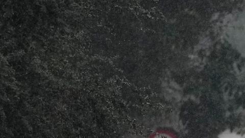 Nuevas lluvias provocan temor en el inundado sur de Brasil