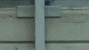 Los jugadores del Génova, entre ellos el mexicano Johan Vásquez (22) celebrando una de las anotaciones en el empate de este domingo ante el AC Milan.