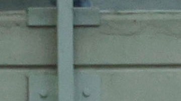 Los jugadores del Génova, entre ellos el mexicano Johan Vásquez (22) celebrando una de las anotaciones en el empate de este domingo ante el AC Milan.