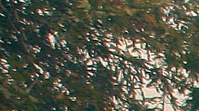 A firefighter walks to his vehicle as they battle the Station fire burning in the Angeles National Forest northeast of downtown Los Angeles on Firday, Aug. 28, 2009. The Los Angles Sheriff's Department says a voluntary evacuation is being urged for nearly 900 homes in the La Canada Flintridge area. (AP Photo/Jason Redmond)