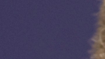 Asociación Nacional del Rifle elige al excongresista republicano Bob Barr como nuevo presidente