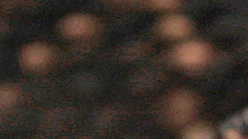 An eastern diamond back rattlesnake coils itself to strike during the Opp Rattlesnake Rodeo in Opp, Ala., Friday, March 26, 2010. Once there were about 50 snake roundups in the South, but only three are left _ the one in Alabama and two in Georgia. (AP Photo/Dave Martin)