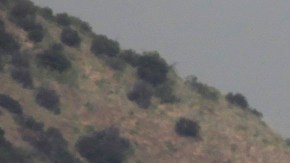 This April 9, 2010 photo shows the Department of Water's Silver Lake Reservoir in Los Angeles. The Department of Water and Power operates with a $5.7 billion budget and 8,600 employees. It runs 7,200 miles of pipeline that pump water into Los Angeles from rivers, as well as the Silver Lake Reservoir, around the region, and the electrical grid that powers the nation's second-largest city. (AP Photo/Damian Dovarganes)