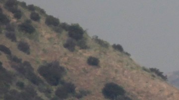 This April 9, 2010 photo shows the Department of Water's Silver Lake Reservoir in Los Angeles. The Department of Water and Power operates with a $5.7 billion budget and 8,600 employees. It runs 7,200 miles of pipeline that pump water into Los Angeles from rivers, as well as the Silver Lake Reservoir, around the region, and the electrical grid that powers the nation's second-largest city. (AP Photo/Damian Dovarganes)