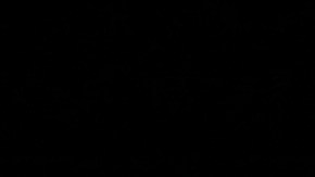 A Kashmiri youth reads a news item posted on his Facebook page in an Internet cafe in Srinagar, India, Friday, Aug. 27, 2010. With student discussion groups banned and thousands of security operatives believed to be snooping on protesters, a wave of Web-savvy protesters in Indian-controlled Kashmir have begun using social networking to publicize their fight and keep fellow demonstrators energized and focused. The protesters who call themselves "sangbazan," or the stone pelters, use Facebook to debate the weekly calendar of protests, discuss ways to hold Kashmiri leaders accountable and trade daily news updates, some of questionable reliability. (AP Photo/Altaf Qadri)