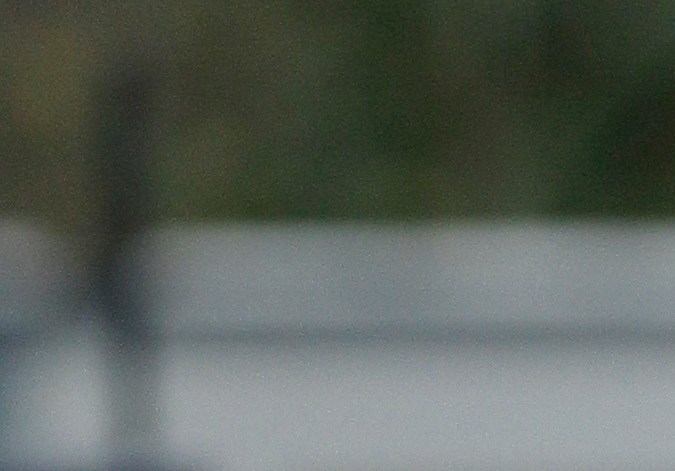 Tribunal Superior de Londres permite a Julian Assange un nuevo recurso contra su extradición a EE.UU.