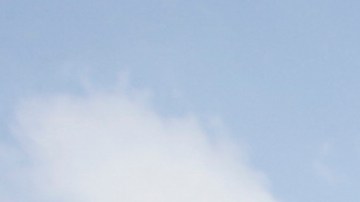 In this March 3, 2011 photo, a toy burro used for Mexican traditional tourist's photos waits for customers at El Pueblo de Los Angeles Historic District. The district has become a battleground over claims to the area's past and future as a cluster of disputes swirl around the shops, adobe buildings and Mexican-era churches in the city's historic birthplace. (AP Photo/Damian Dovarganes)