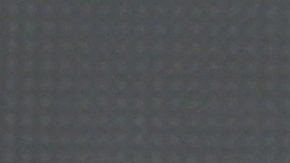 Julio César Chávez Jr.