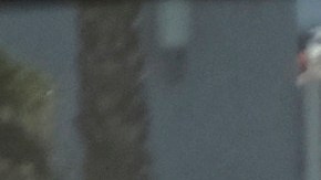 FILE - This Sept. 9, 2016 file photo shows rush hour traffic moving along the Hollywood Freeway in Los Angeles. The city long known for its sprawl and glacial traffic is fighting over what it should become in the future. An election Tuesday, March 7, 2017, features a proposal intended to restrict taller, denser development in the city of nearly 4 million, a chapter in a long-running battle over density and what the city should look like in the years to come. (AP Photo/Richard Vogel, File)