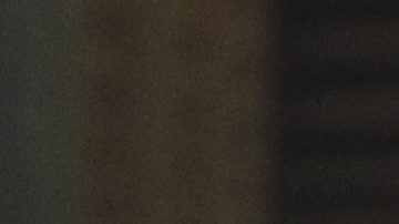 Julio César Chávez Jr.