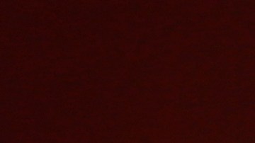 Sello del Departamento de Estado de EE.UU.