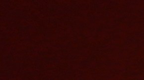 Sello del Departamento de Estado de EE.UU.