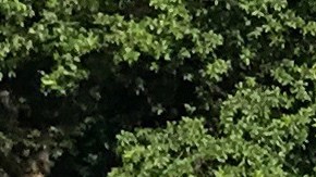 Un monumento con los Diez Mandamientos erigido en terrenos del Capitolio estatal en la ciudad de Oklahoma.