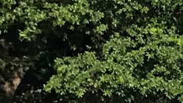 Un monumento con los Diez Mandamientos erigido en terrenos del Capitolio estatal en la ciudad de Oklahoma.