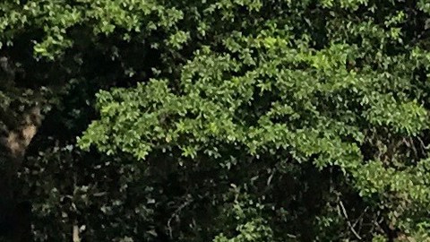 Un monumento con los Diez Mandamientos erigido en terrenos del Capitolio estatal en la ciudad de Oklahoma.