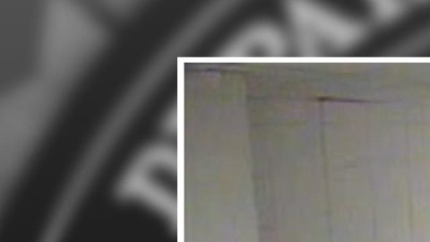 Escuelas de Kansas recurren a la inteligencia artificial para detectar armas en medio de ola de violencia