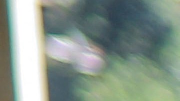 ¿A dónde va el dinero que quitan a los partidos por las multas en tiempos electorales?