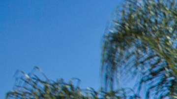 File - In this April 25, 2019, file photo, is the California State University, Los Angeles campus. The state auditor says California State University kept $1.5 billion in discretionary reserves while raising tuition at its 23 campuses and lobbying the Legislature for more funds. California State auditor Elaine Howle says in a report released Thursday, June 20, 2019, that CSU put the money, which came primarily from student tuition, in outside accounts rather than in the state Treasury. (AP Photo/Damian Dovarganes, File)