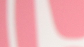 Lele Pons fue atacada por pitbull al intentar salvar a su mascota