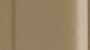 OMS alerta por aumento de ITS a nivel mundial, principalmente sífilis y gonorrea