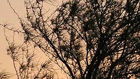 Migrantes en México