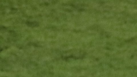 Referee Slavko Vincic, center, holds the ball during the Euro 2020 soccer championship group E soccer match between Spain and Sweden, at La Cartuja stadium in Seville, Spain, Monday, June 14, 2021. (Julio Munoz/Pool via AP)