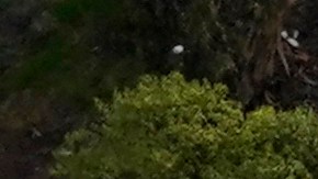 California Gov. Gavin Newsom, left, helps clean a homeless encampment alongside a freeway, Wednesday, Jan. 12, 2022, in San Diego. Newsom is calling for $2 billion to expand access to housing and mental health services for homeless people. (AP Photo/Gregory Bull)