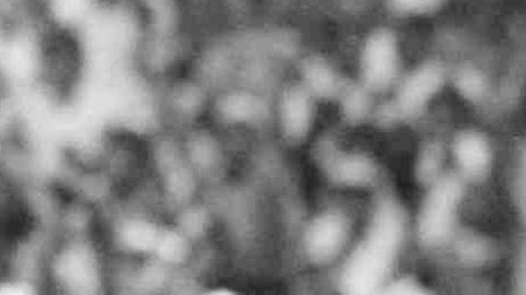 Diego Armando maradona celebra su segundo gol contra Inglaterra, denominado "El Gol del Siglo", durante la Copa del Mundo de México 1986.