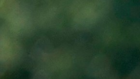 A dos años de la masacre en Uvalde, Biden insiste en restringir las armas de asalto