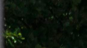 La ciudad de Uvalde pagará $2 millones de dólares a familiares de las víctimas del tiroteo escolar