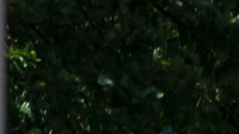 La ciudad de Uvalde pagará $2 millones de dólares a familiares de las víctimas del tiroteo escolar