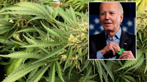 Biden busca reducir la persecución de personas por consumo de marihuana.