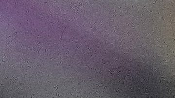 Germany's head coach Hansi Flick reacts during the World Cup group E soccer match between Costa Rica and Germany at the Al Bayt Stadium in Al Khor , Qatar, Thursday, Dec. 1, 2022. (AP Photo/Martin Meissner)