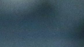 Coach Sebastian Abreu of Peru's Universidad Cesar Vallejo instructs his players during a Copa Sudamericana Group A soccer match against Brazil's Botafogo at the Nilton Santos stadium in Rio de Janeiro, Brazil, Thursday, April 20, 2023. (AP Photo/Bruna Prado)