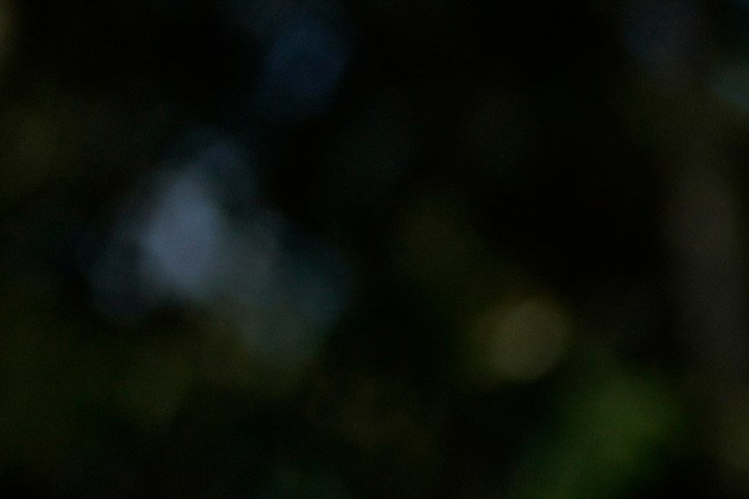 Millones de inmigrantes llevan años en Estados Unidos trabajando y contribuyendo a la economía sin un permiso de trabajo legal.