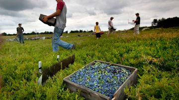 Los trabajadores inmigrantes tienen derechos y protecciones legales.