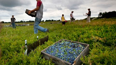 Los trabajadores inmigrantes tienen derechos y protecciones legales.