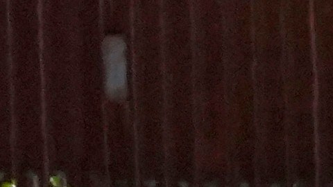 Caen un 30% las detenciones de migrantes en la frontera sur de EEUU respecto al año pasado
