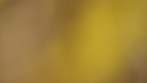 James Rodríguez, uno de los convocados de Colombia para la Copa América. Sería titular esta noche.