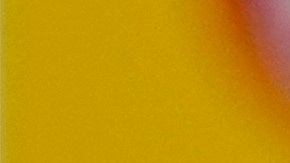 El seleccionador boliviano, el brasileño Antonio Zago, todavía no ha definido la lista de jugadores que irán a la Copa América 2024.