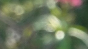 Una calle inundada tras una tormenta que arrojó 9 pulgadas de agua en Fort Lauderdale, Florida.