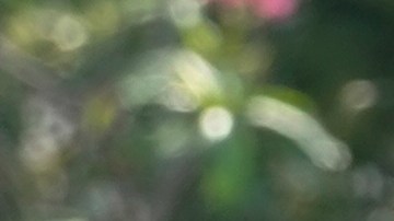 Una calle inundada tras una tormenta que arrojó 9 pulgadas de agua en Fort Lauderdale, Florida.