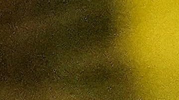 Al-Khelaifi vive una nueva decepción con su club.