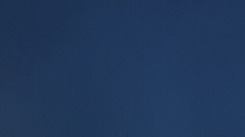 Antoine Winfield Jr.