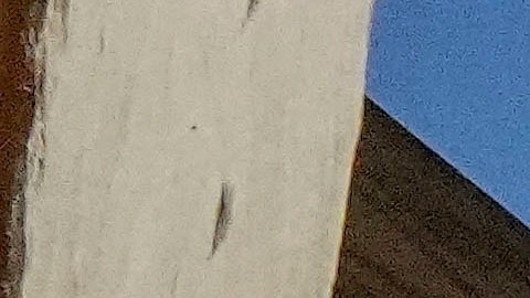 Lo que sí esta probado es que los inmigrantes aportan a la economía con su trabajo.