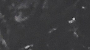 ¿Millie Bobby Brown y Jake Bongiovi se casaron en secreto?