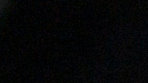 Autoridades hallan en Michigan segundo caso humano de gripe aviar vinculado a vacas lecheras